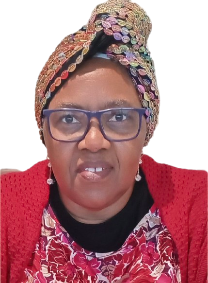 Portfolio Hero Image